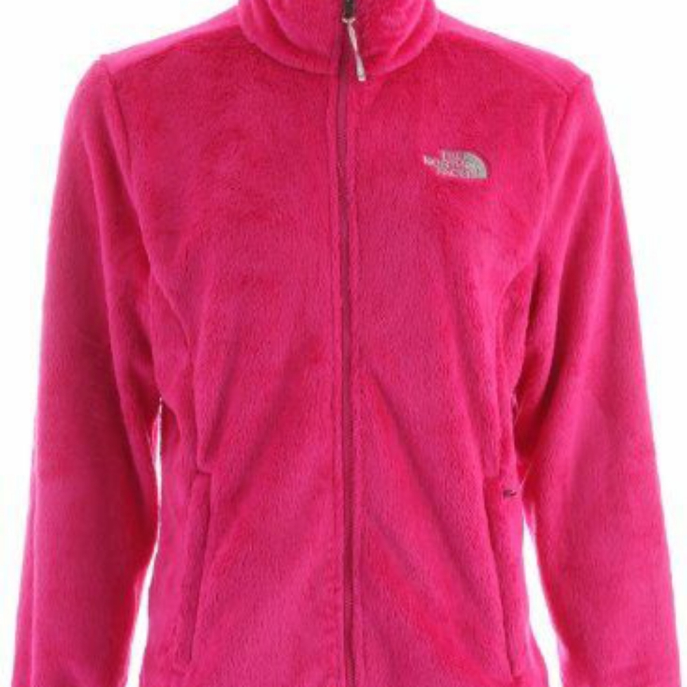 The north face sweater